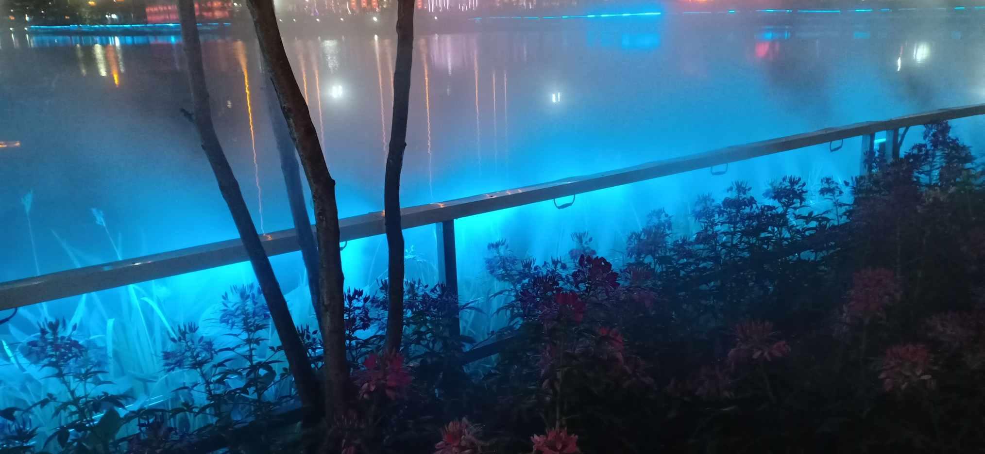 逗小猴开心系列190